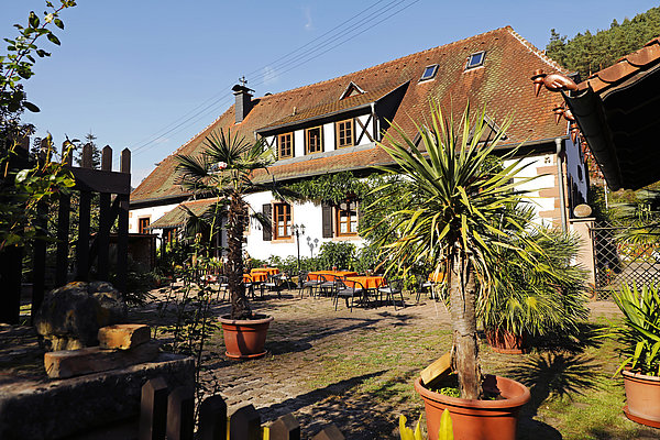 Blick auf einen Innenhof, mit Palmen und mediterranen Pflanzen. Im Hintergrund ein altes Jagdschloss aus der Zeit des Barocks, umgebaut zu einem Gasthaus aus der Zeit des Barocks  