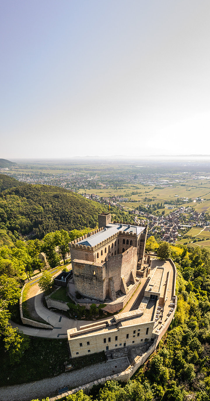 Hambacher Schloss aus der Vogelperspektiver