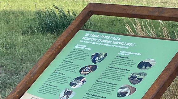Billigheimer Bruch Tafel am Erlebnisweg im Billigheimer Bruch