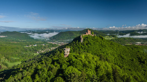 Luftaufnahme Burg Trifels