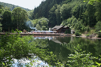 Direkter Blick auf den Isenachweiher und im Hintergrund ist eine Waldhütte, die Essen und Trinken anbietet, zu erkennen