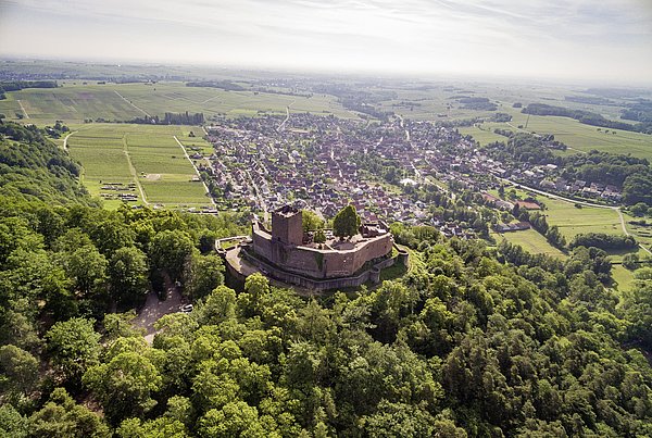 Luftaufnahme der Burg Landeck, umgeben von Wald und Wiesen 