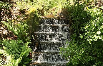 Ein kleiner Wasserfall mitten in der Natur