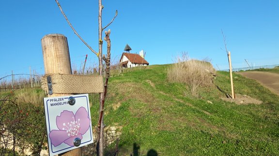 ©Tourist Information Bad Dürkheim