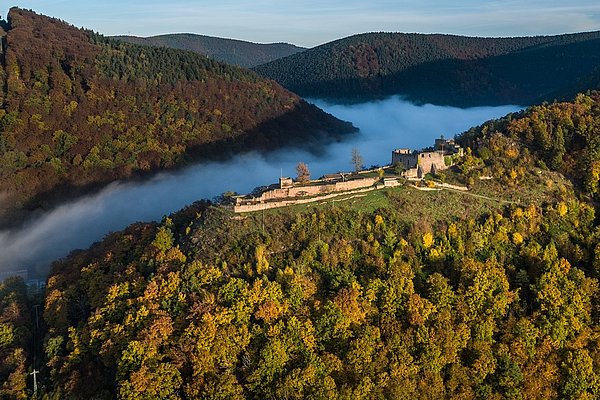 Burgruine der Wolfsburg umgeben von herbstlichem Wald