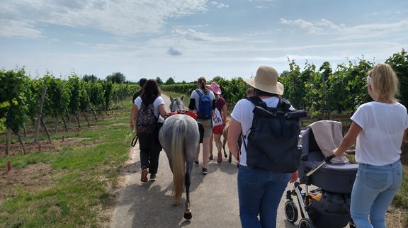 Gruppe bei der Ponywanderung in der Pfalz 